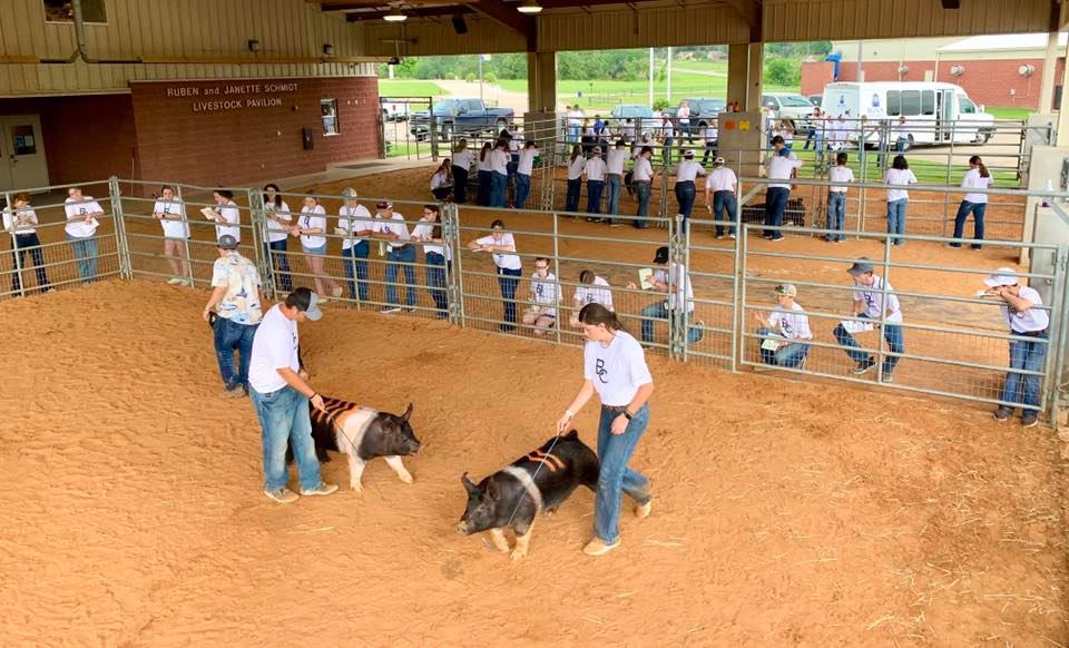 Livestock judging camps return to Blinn The Sealy News